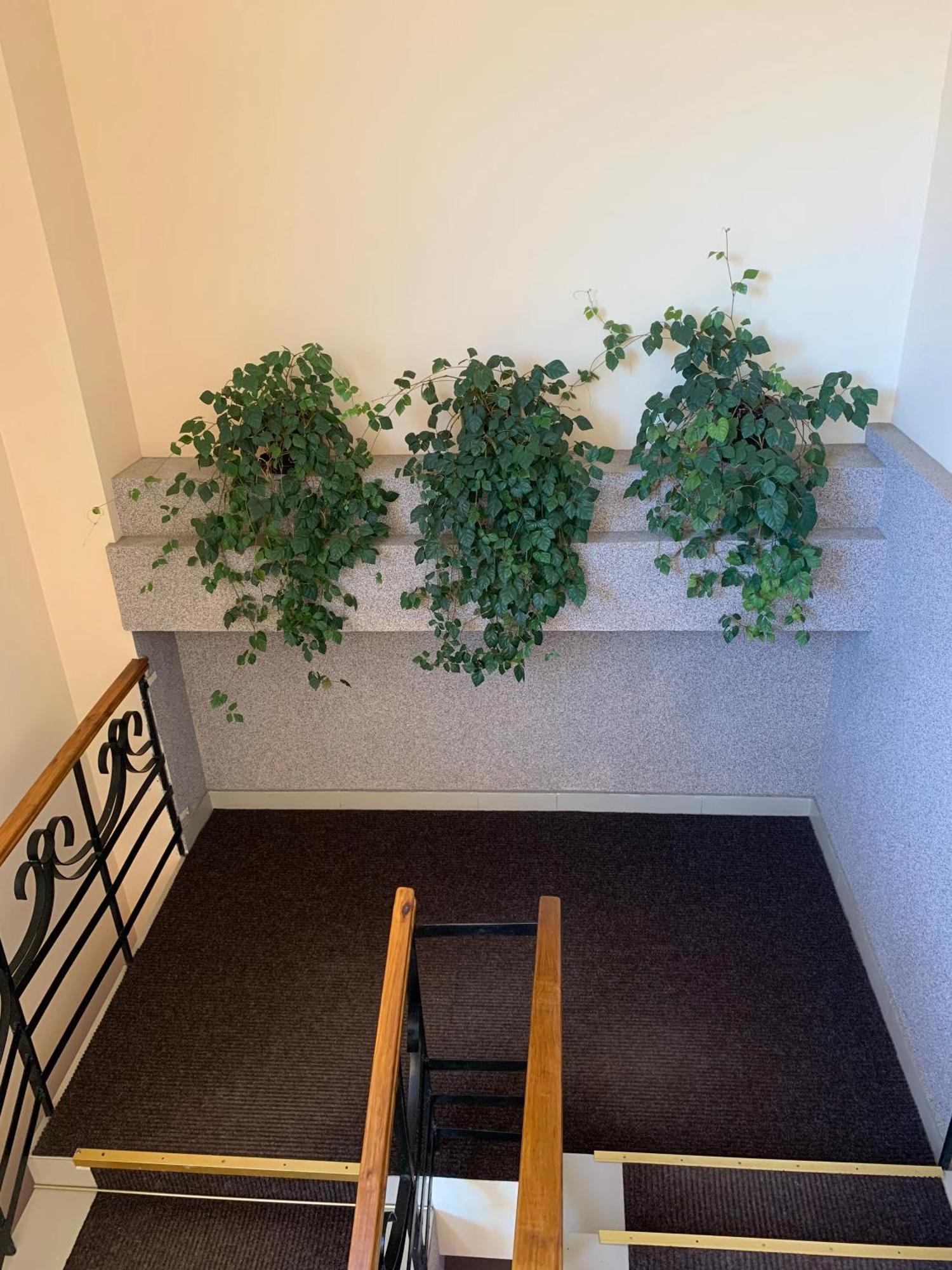 Hostel Iskra Lviv Luaran gambar